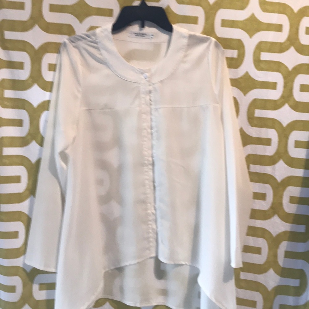 Sheer ladies blouse